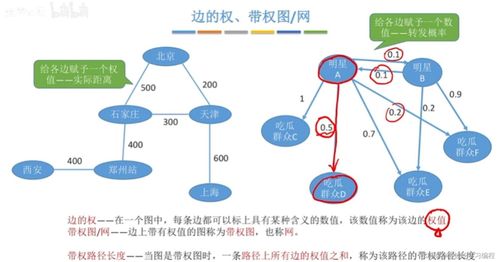 图数据结构学习指南 从基础概念到软件技术服务应用